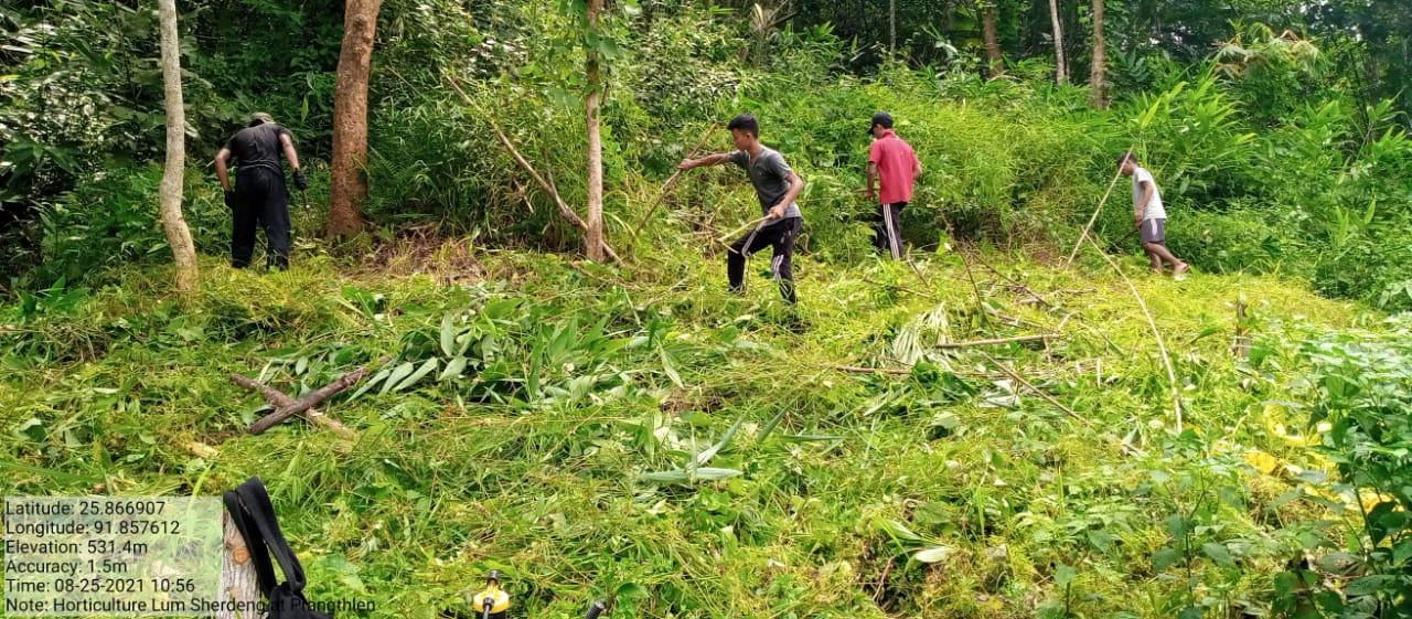 D:\VILLAGE REPORT PICTURES\UMLING BLOCK\saiden\WhatsApp Image 2023-03-14 at 11.46.16 AM.jpeg
